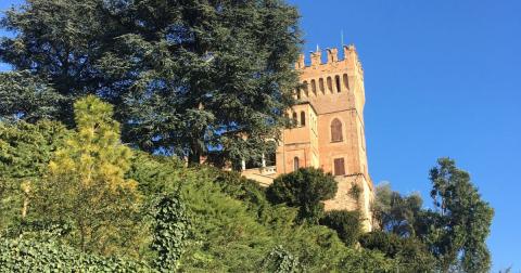 Castello di Mornico Losana. - Immagine: 4