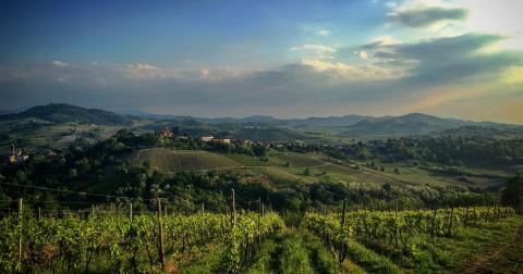 Azienda Agricola Il Masio - Immagine: 1