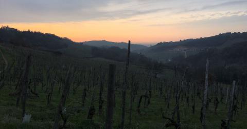 - immagine 8